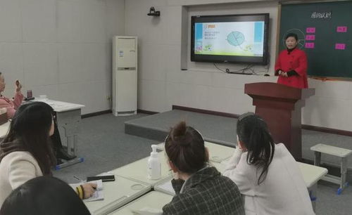 新县箭厂河乡中心学校成功举办小学第二教研协作区青年教师微课展示活动